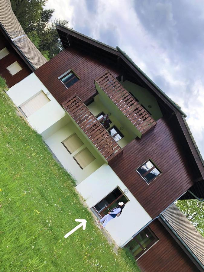 Studio - Le D2 Du Grand Tetras Samoëns Zewnętrze zdjęcie