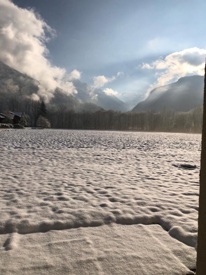 Studio - Le D2 Du Grand Tetras Samoëns Zewnętrze zdjęcie